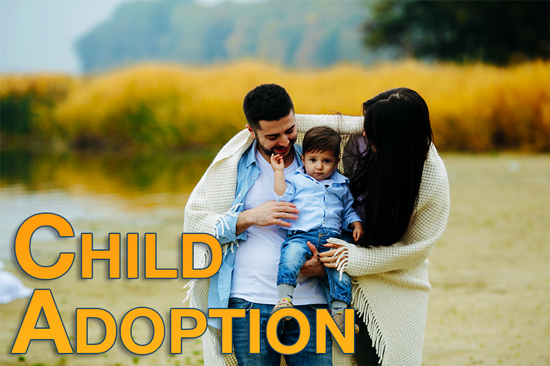 Family law shop adoption