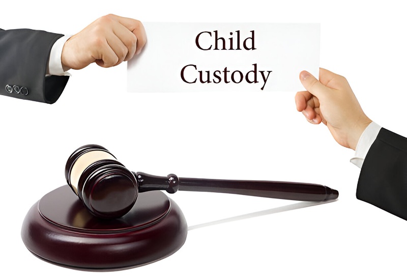 child custody lawyer in Delhi