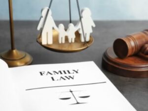 Family Partition in Delhi